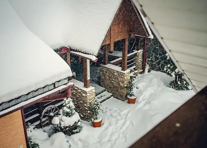 U Eli * 波利亚纳