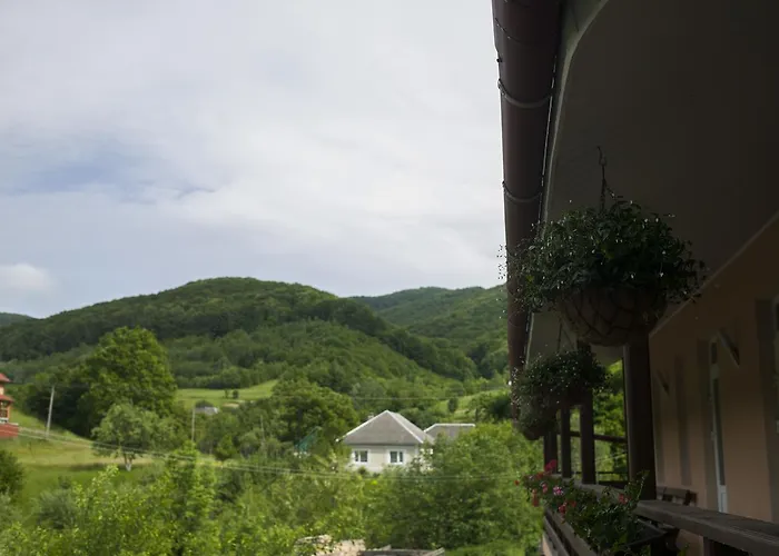 Maison d'hôtes U Eli *