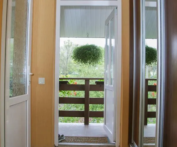 Maison d'hôtes U Eli *